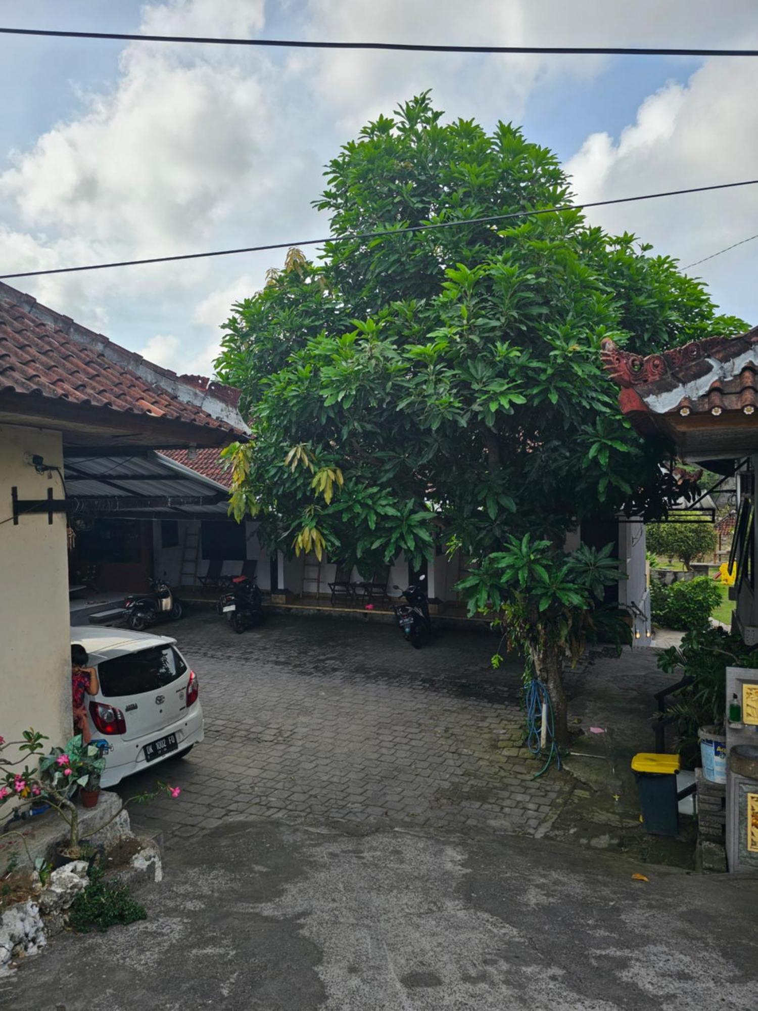 Padang-Padang Sari Homestay Uluwatu Rom bilde